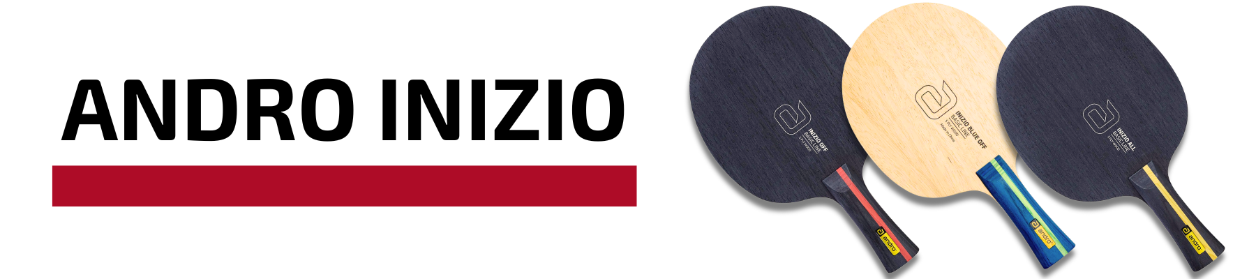 Andro Inizio Hölzer