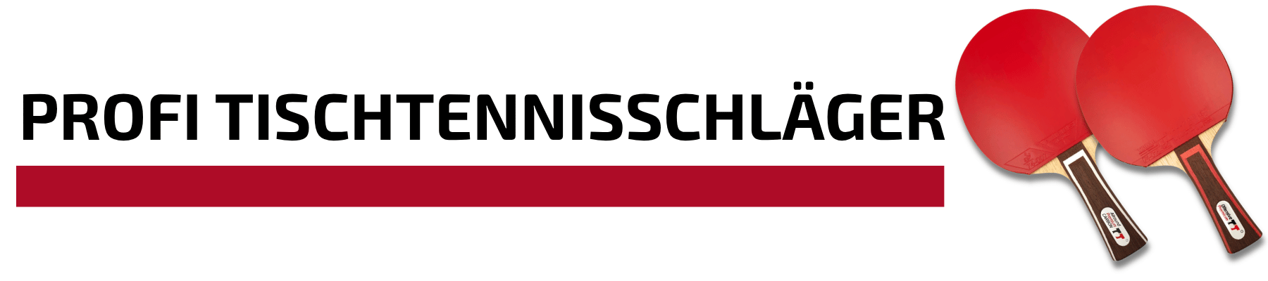 Profi Tischtennisschläger  