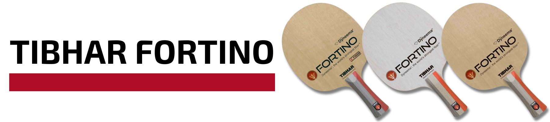 Tibhar Fortino Hölzer