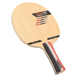 Tibhar Rapid Carbon Light - Holz leicht gekippt ins Bild gesetzt