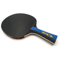 Butterfly Timo Boll Gold Test