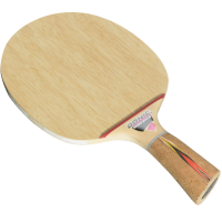 Donic Waldner Dotec AR