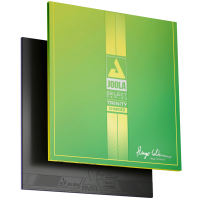 Joola Rhyzen ZGX - Produkt und Verpackung