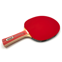 Donic Waldner 600