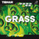 Tibhar Grass - Packung & Produkt auf einen Blick