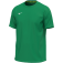 Mizuno T-Shirt Training Tee, grün