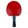 Butterfly Timo Boll Sapphire