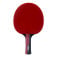 Butterfly Timo Boll Ruby