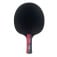 Butterfly Timo Boll Ruby