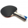 Butterfly Timo Boll Platin Test