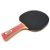 Donic Waldner 600 Test