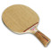Donic Waldner Dotec Carbon - Holz mit leichter Neigung ins Bild gesetzt