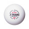 Nittaku Premium 40+ - Einzelansicht eines Balls