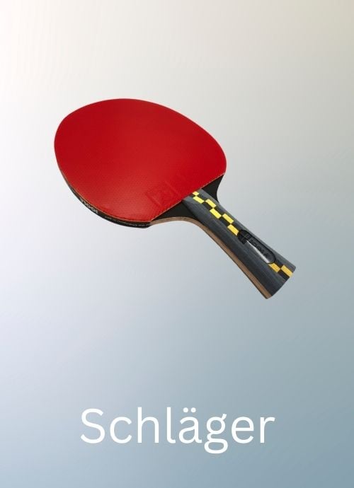 Öffentliche Institutionen Schläger