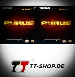  Zwei mal Tibhar Aurus 